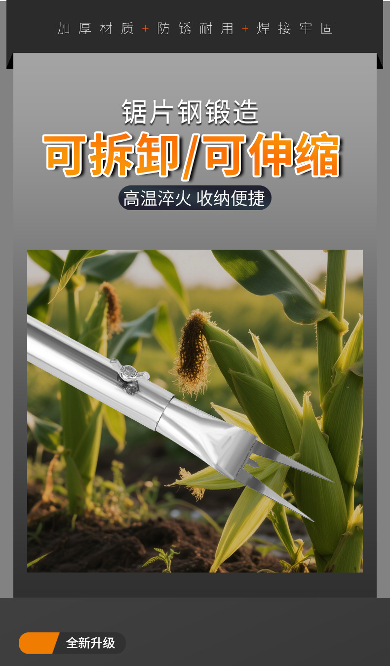 详情_11.jpg