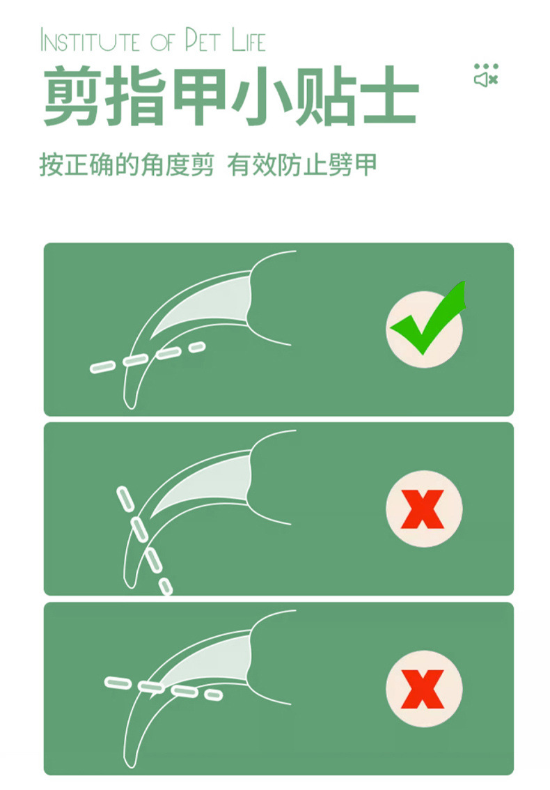 2b0a7d24-a5d6-4820-b530-7b414c39df48.jpe