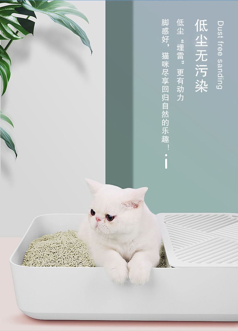 87badcaf-3930-4c0e-9552-83f478d08096.jpe