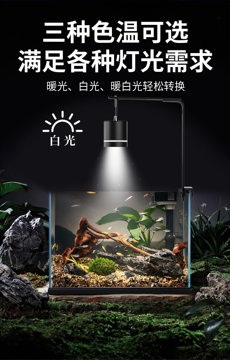 4ea4d937-e4b0-4e6e-af18-79004c63a4ae.jpe