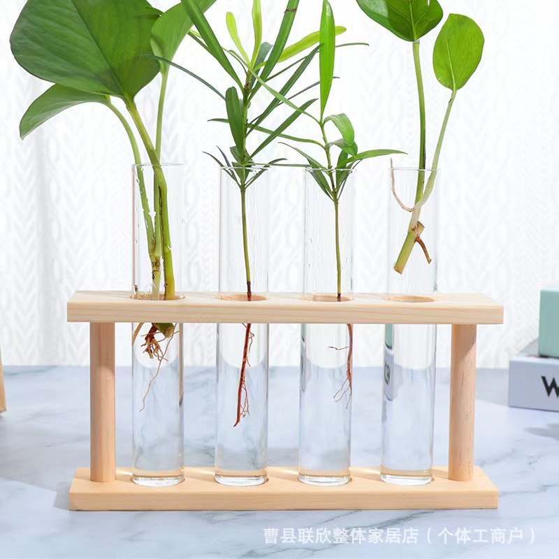 微信图片_20250217144058.jpg