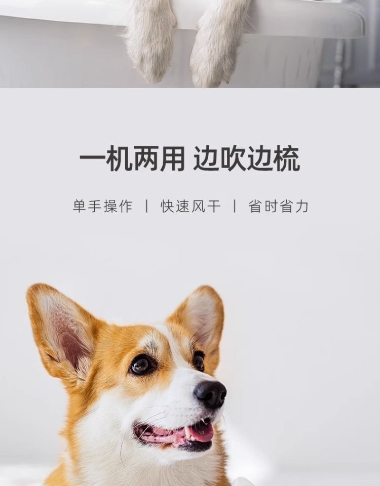 f5e0431e-2ca5-4165-9038-b167ee02421b.jpe