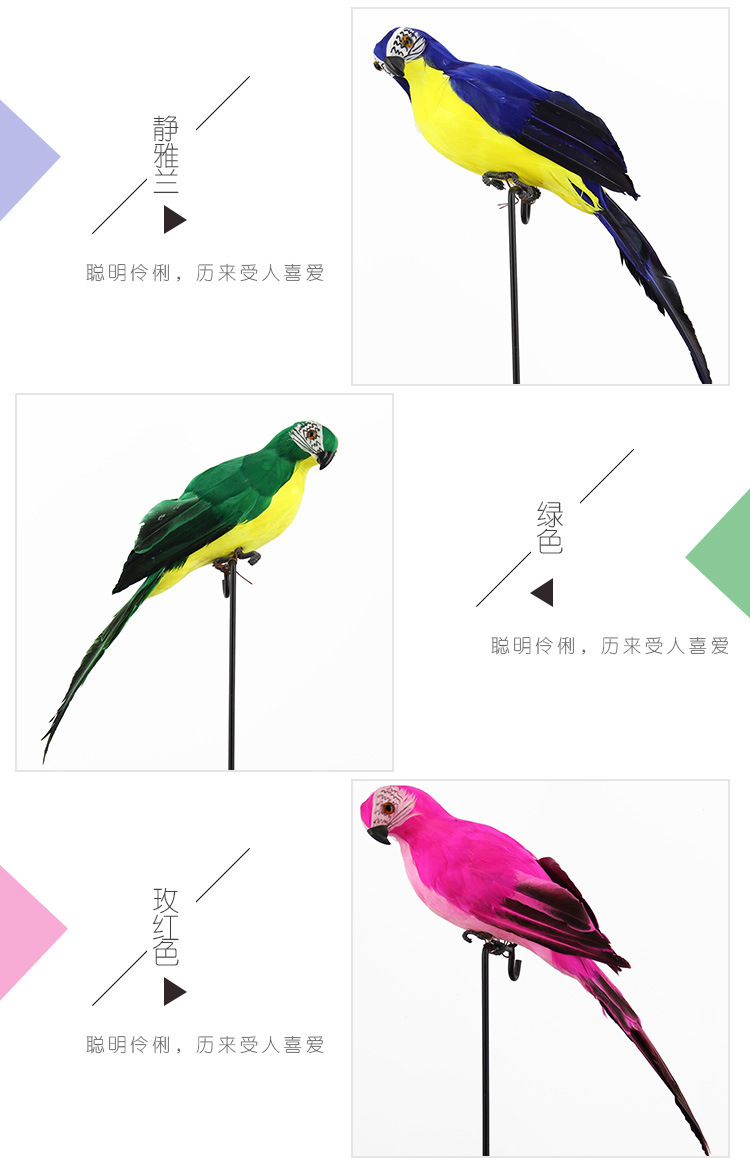 鹦鹉、_05.jpg