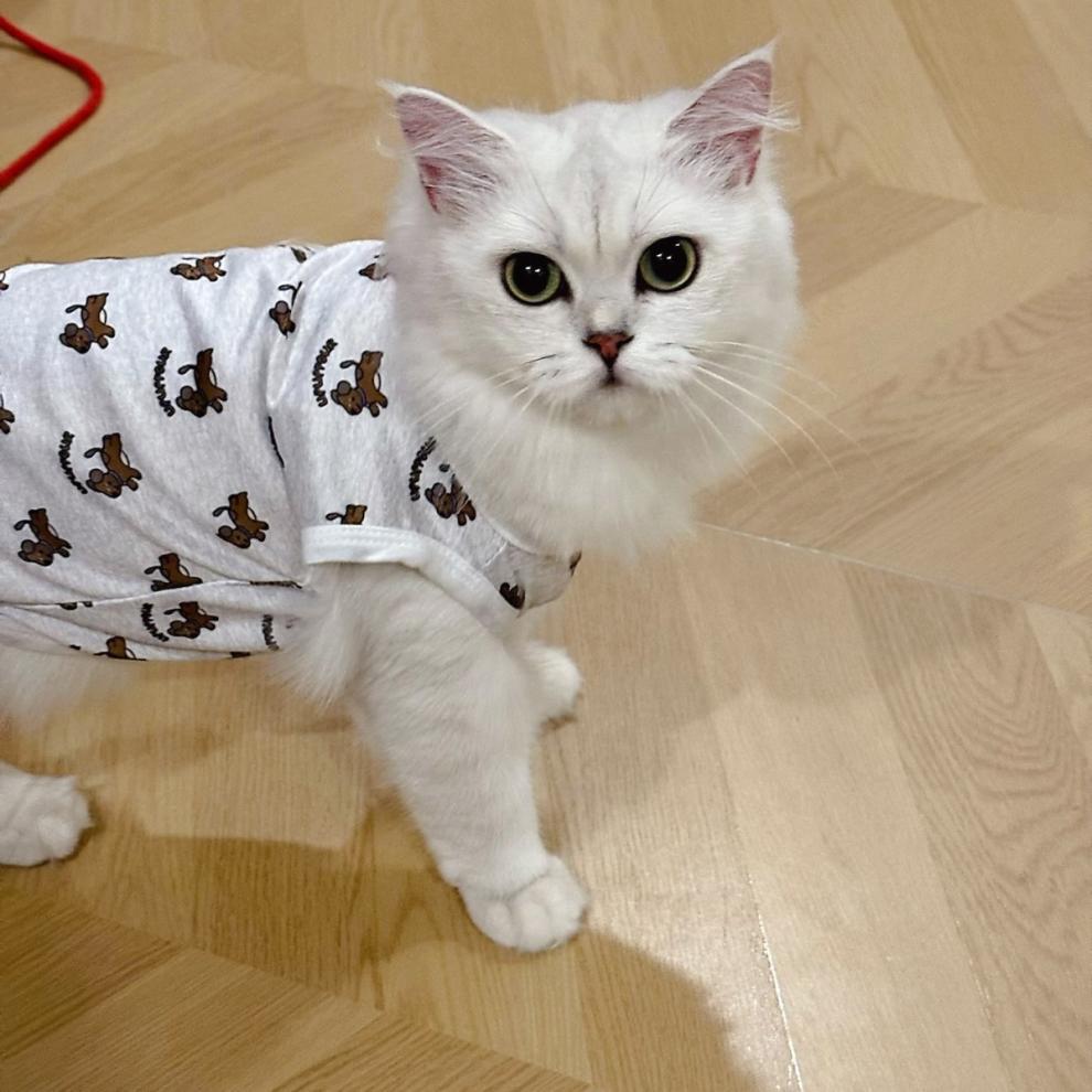 53f4c25a-e238-421d-a853-37fd8071bf6f.jpe