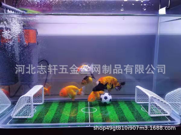 微信图片_20220305135000