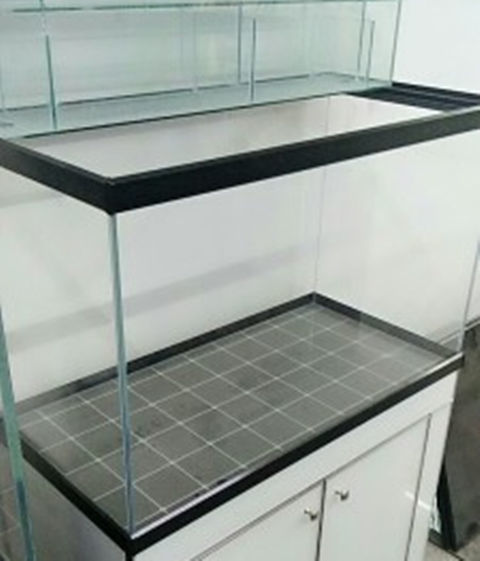 2d929871-3590-4a74-85bc-82c22522810d.jpe