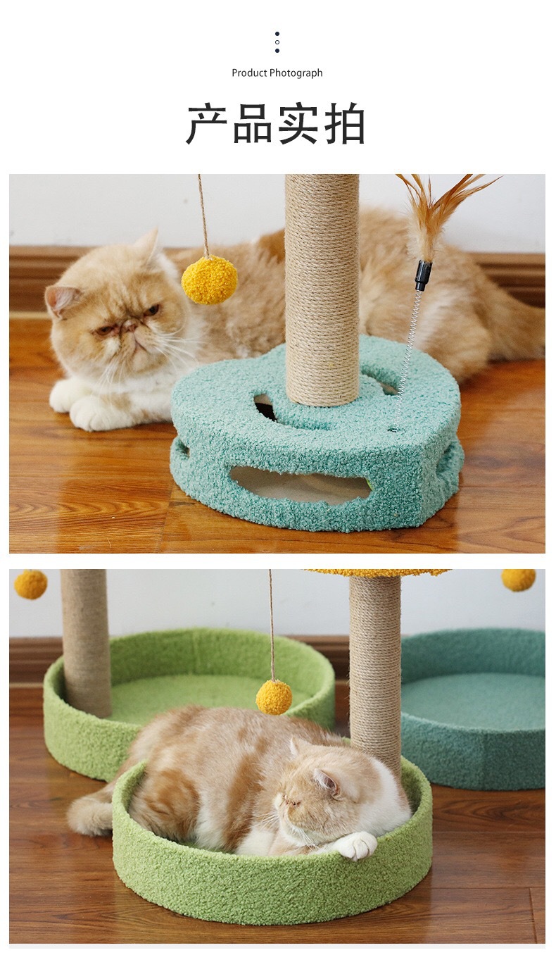 57420771-EE29-4B39-A52F-E130E5