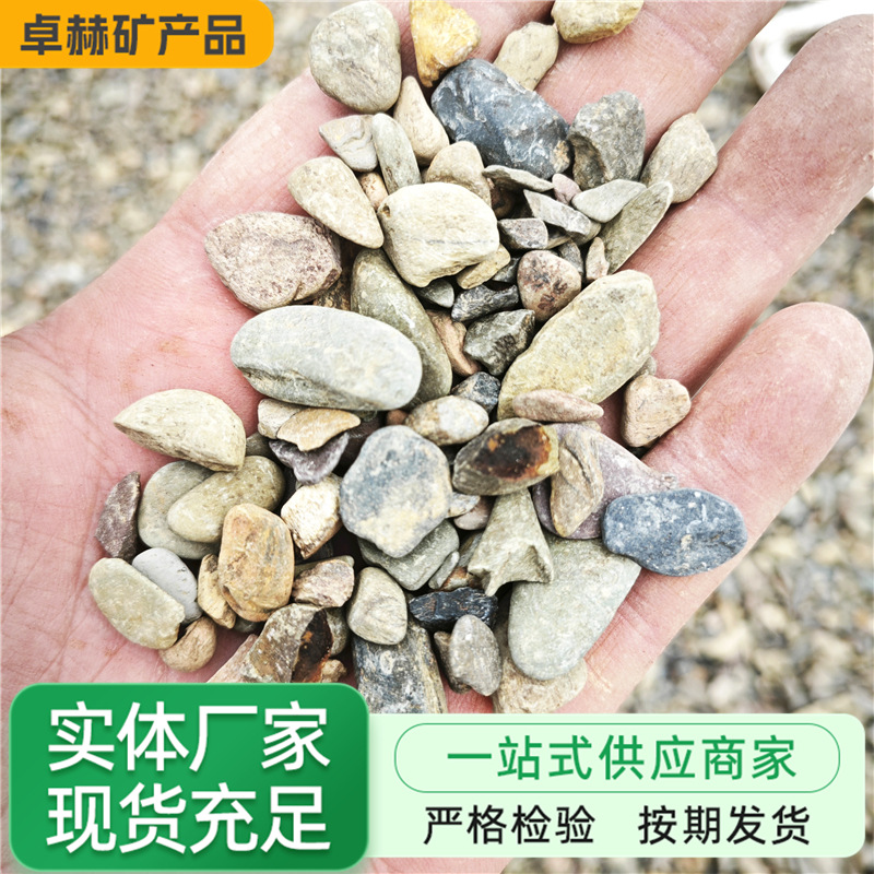 微信图片_20250426105639