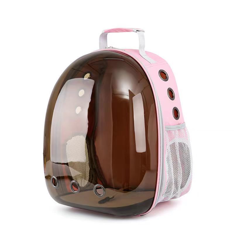 abadacac-a8fa-4485-9d8c-4dd7b1fe6a1a.jpe