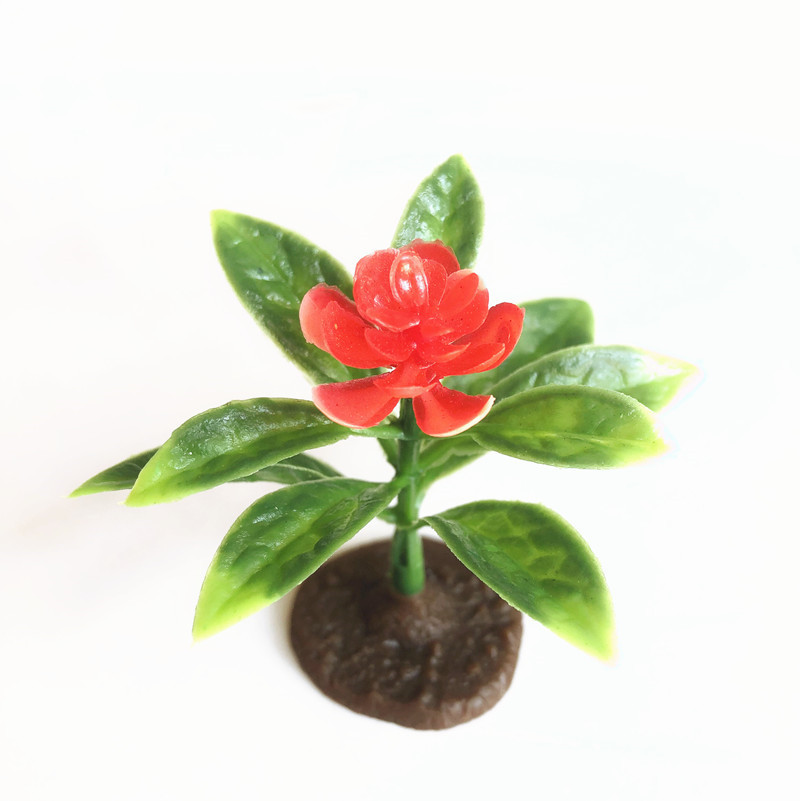 IMG_7466_副本 - 副本