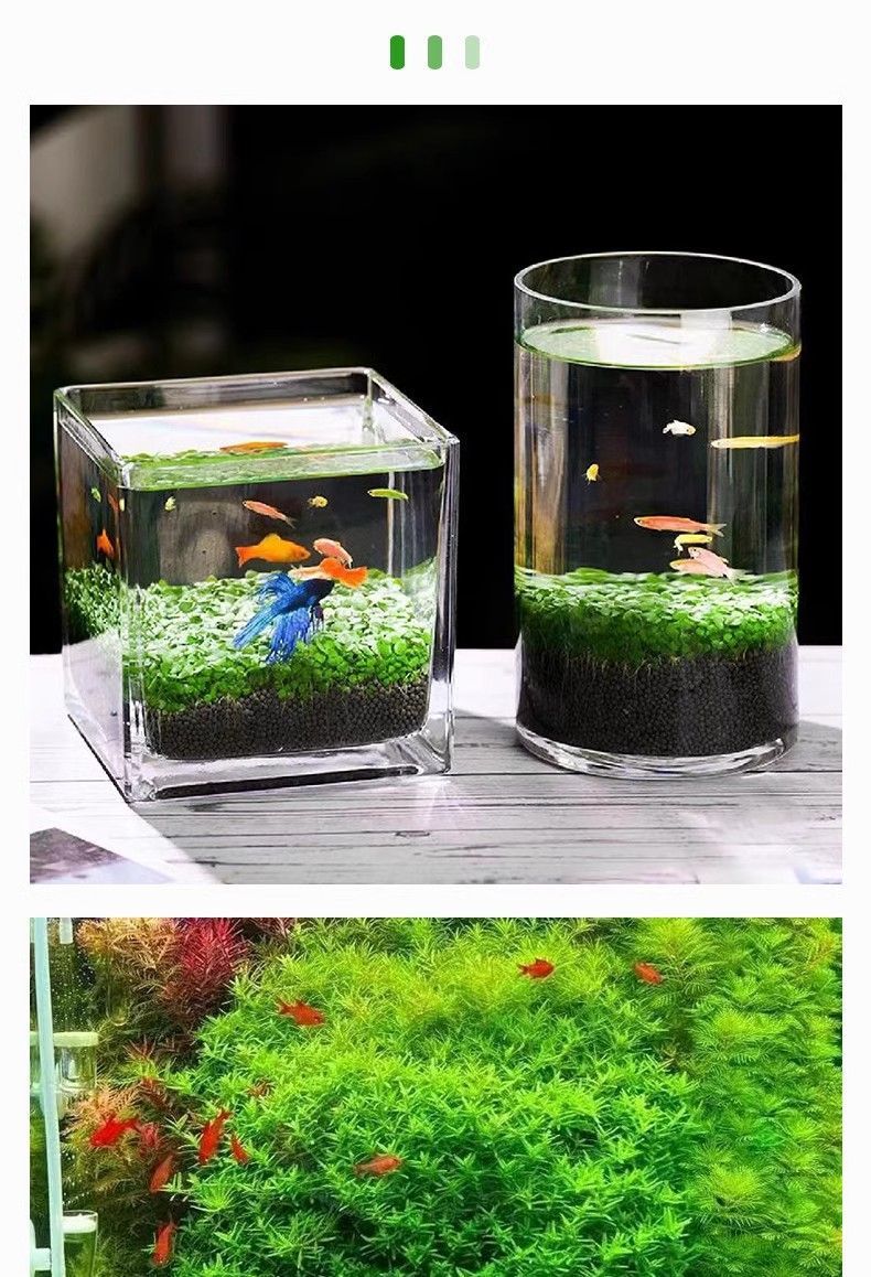 d3a50648-bf7d-403f-948f-5216265c30d5.jpe