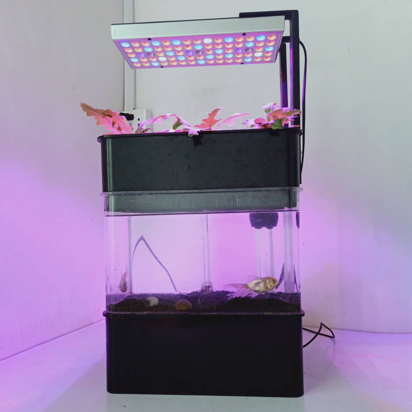 微信图片_20191128124732_副本