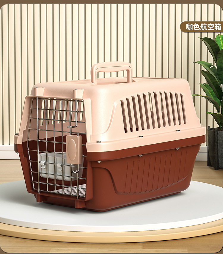 bda126f5-5924-43d1-c30f6.jpe