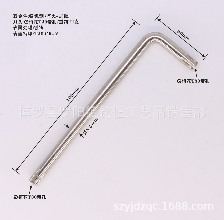 T30-30X100带孔打标图-4.png
