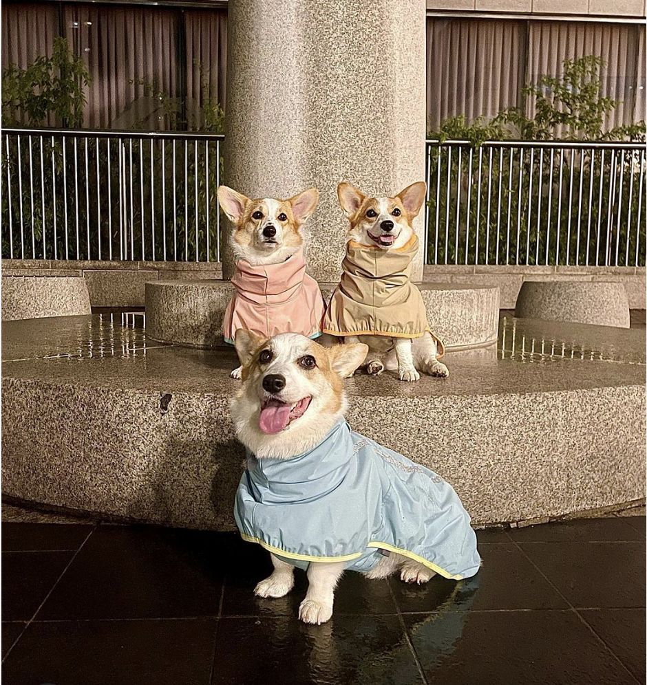 微信截图_20210817231735