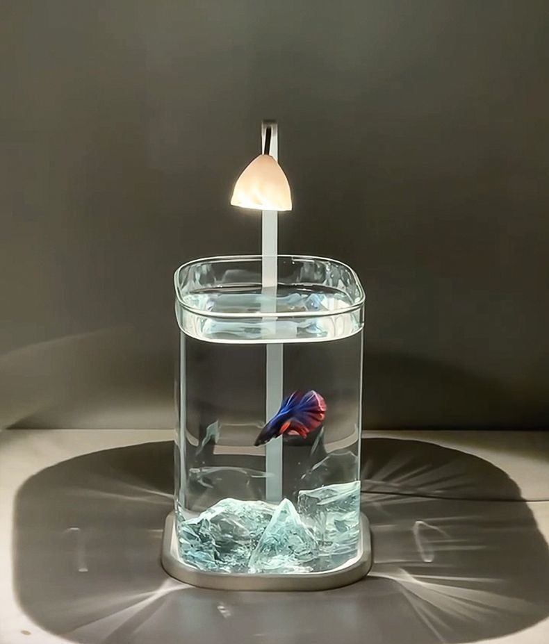 87b639ef-a83e-4b67-9550-005b3d303dde.jpe