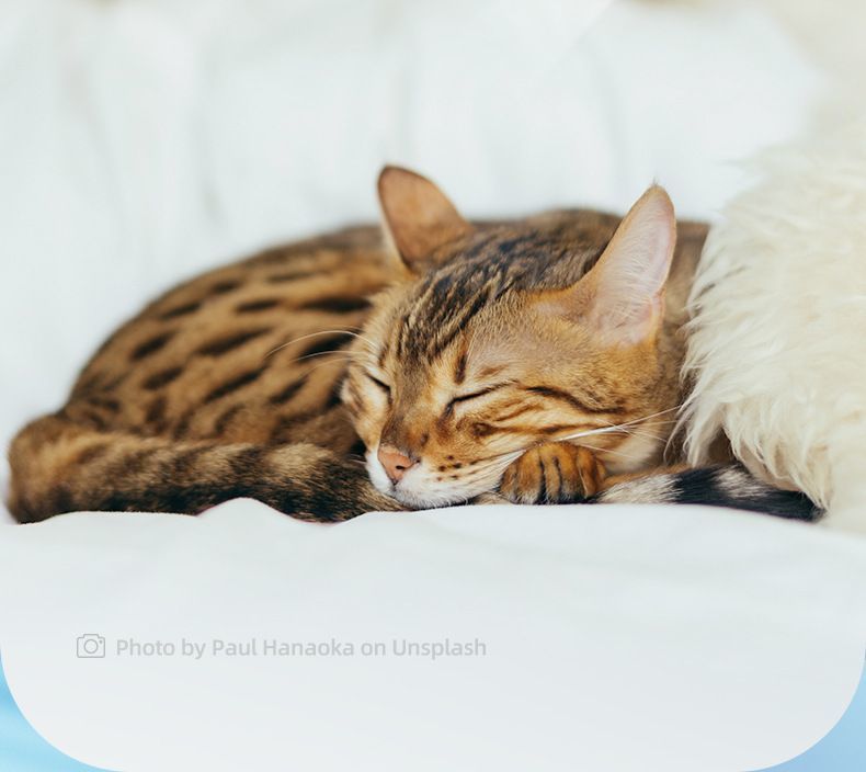 78b0a05e-9055-4d5a-8d2e-e5ef76831ed2.jpe