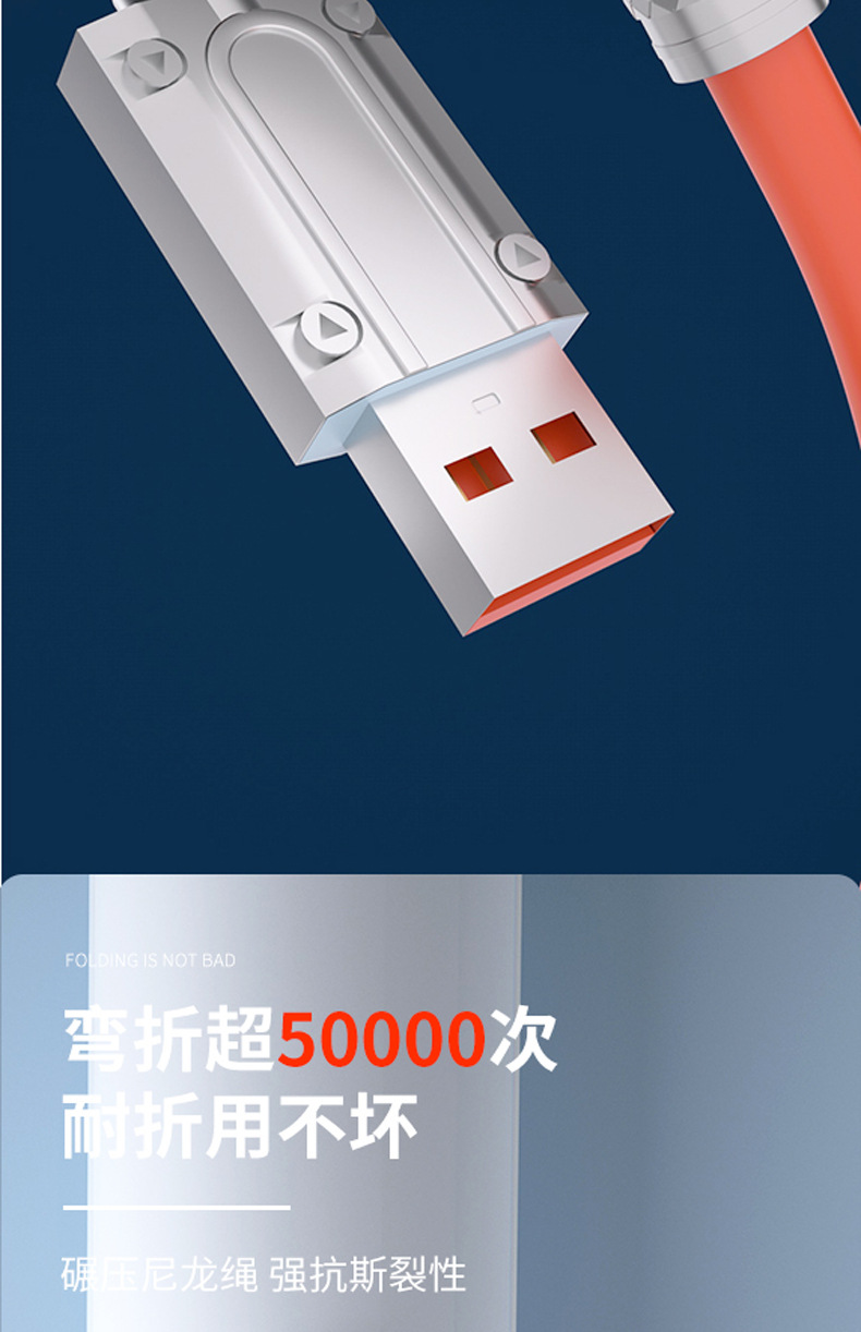 3_03.jpg