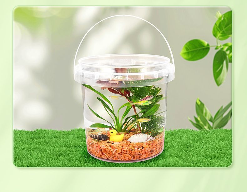 4b70f079-c174-40f6-96f3-0ff98255b8f4.jpe