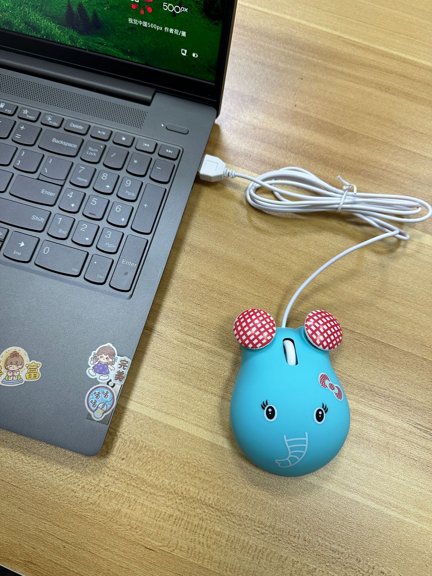 微信图片_20231222105325.jpg?x-oss-process=image/format,png