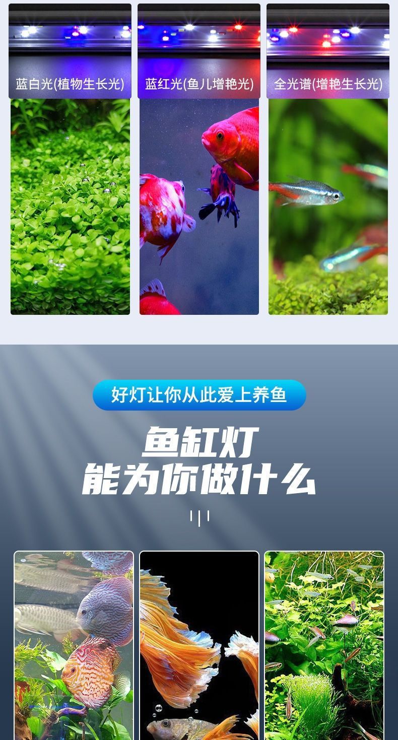 3216b601-c7df-47a3-9aa1-ea29b42c809e.jpe