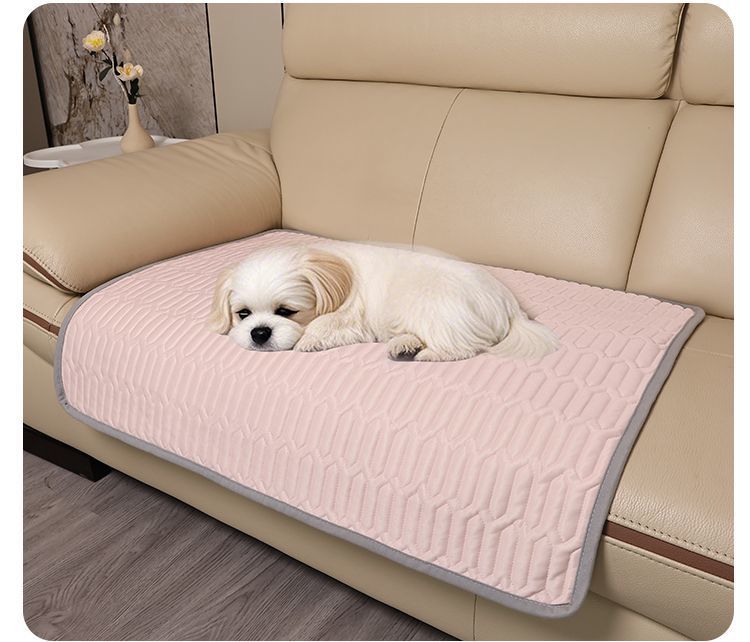 566c8bb9-48ca-4067-b218-df3d109d68e8.jpe