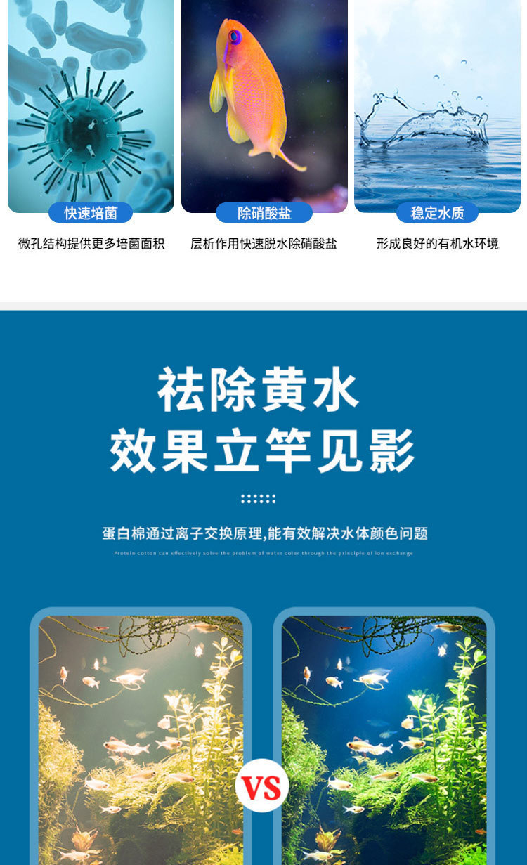 fe21ef1b-0bff-4c0c-a955-745eb489e8f1.jpe