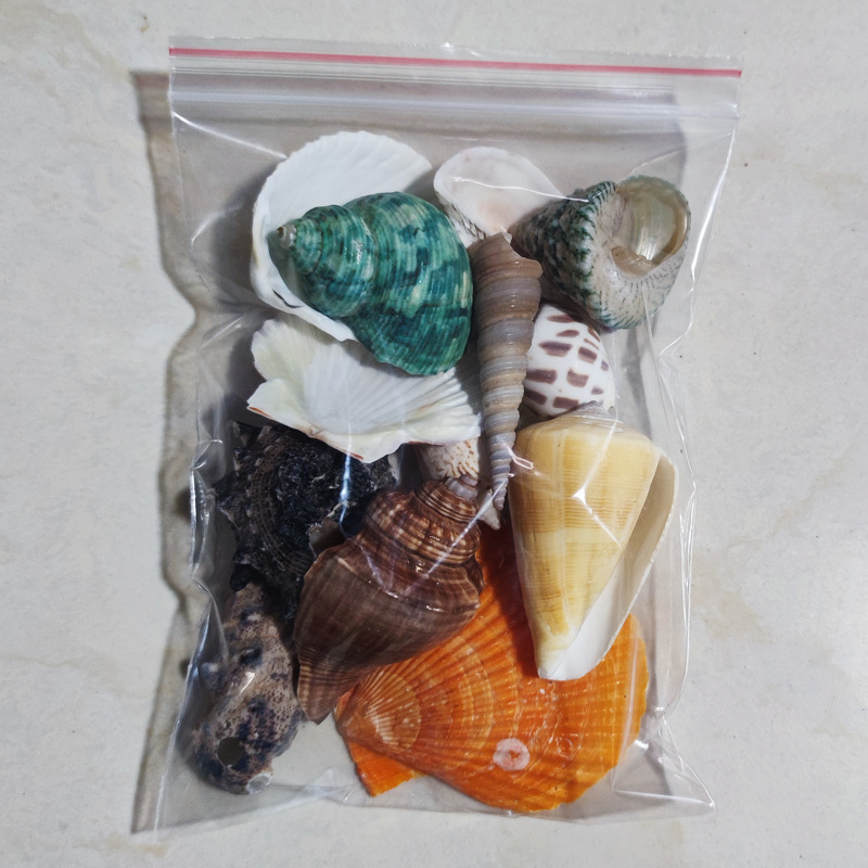 12个不重复主图7