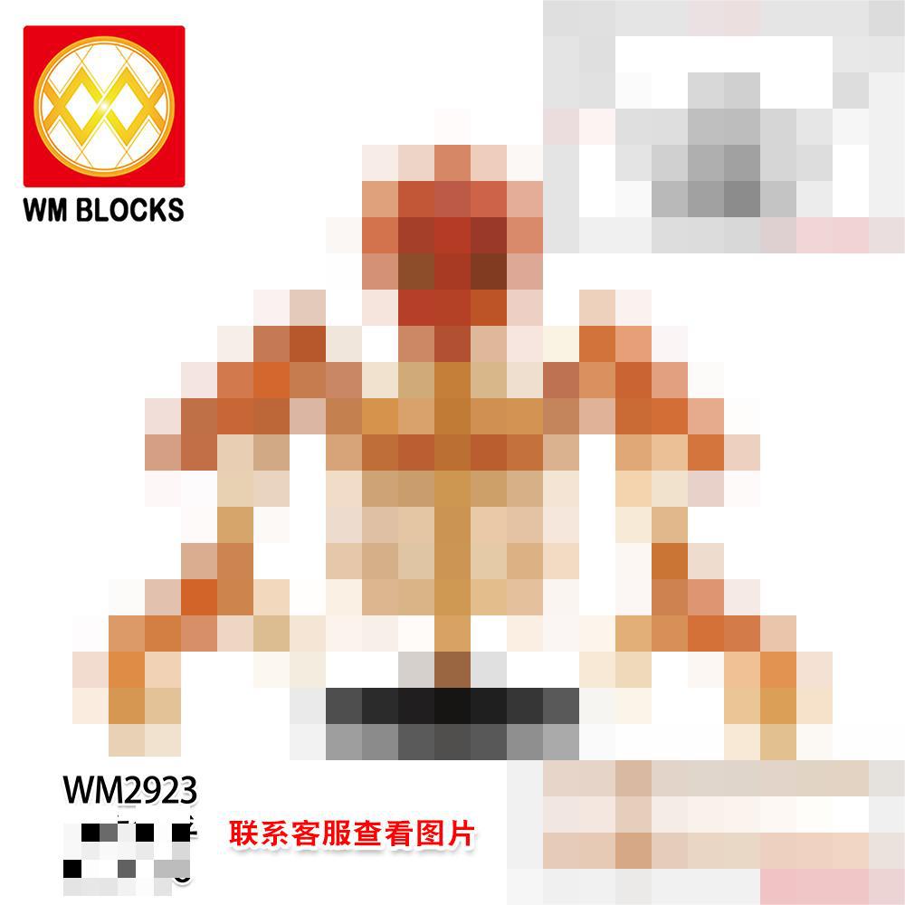 WM2923