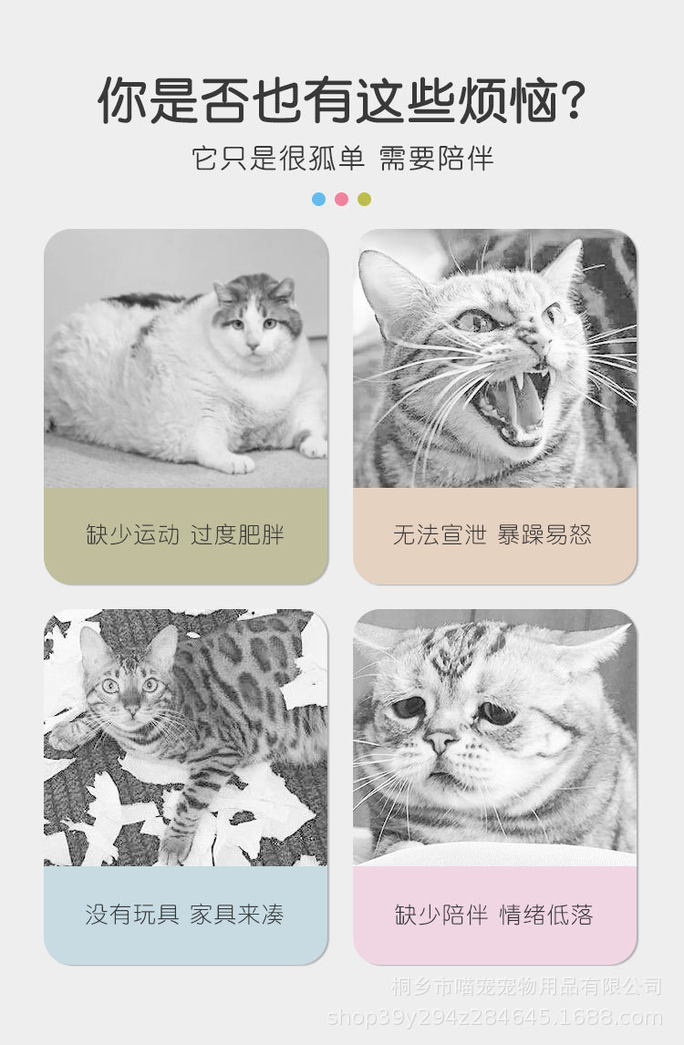 详情_02.jpg