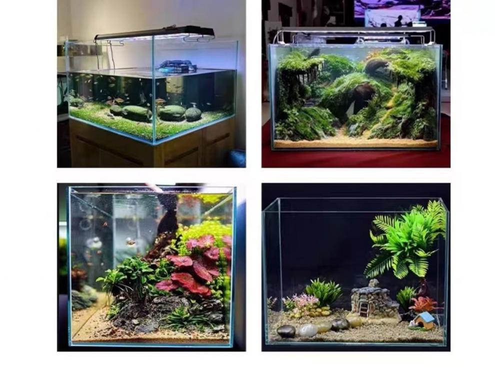 3cb77d0a-0ad0-4296-8be7-7356f35bfc84.jpe