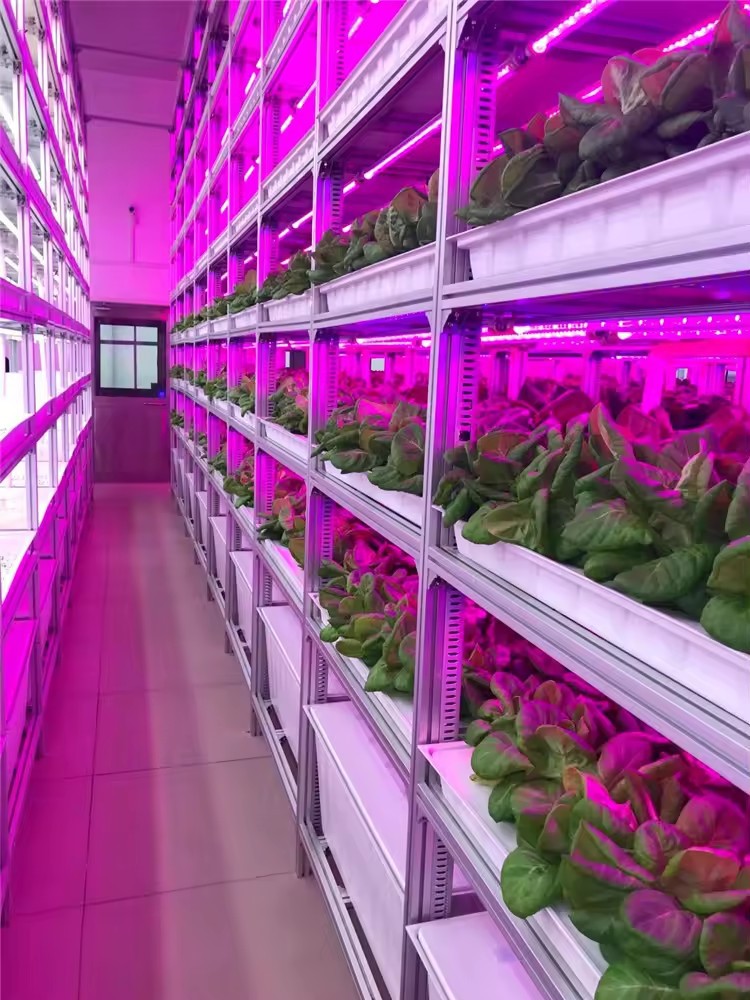 Hb20da64d5c904a978f760e33bb08b