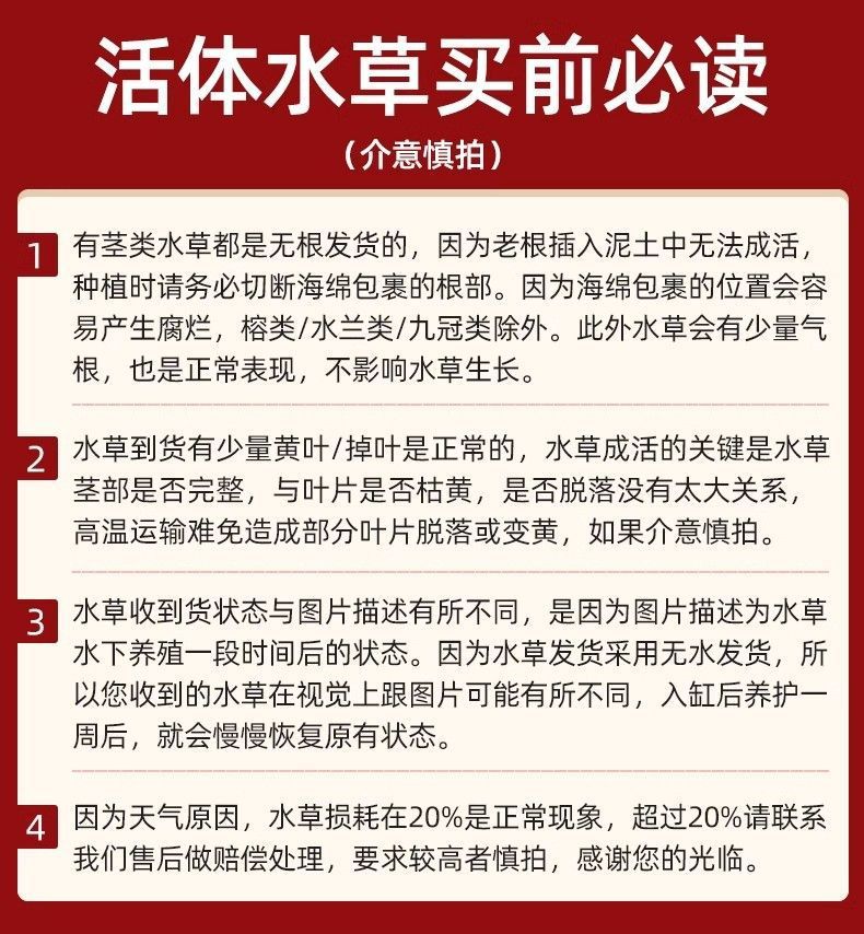 a05fb48e-cf08-47bd-b303-d95a75bf2076.jpe