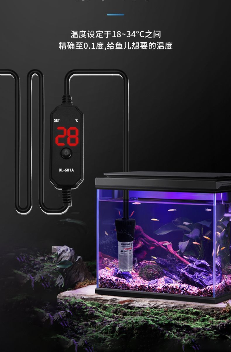 0cbc8882-00d8-4d7e-959c-b51d46f5e5e7.jpe