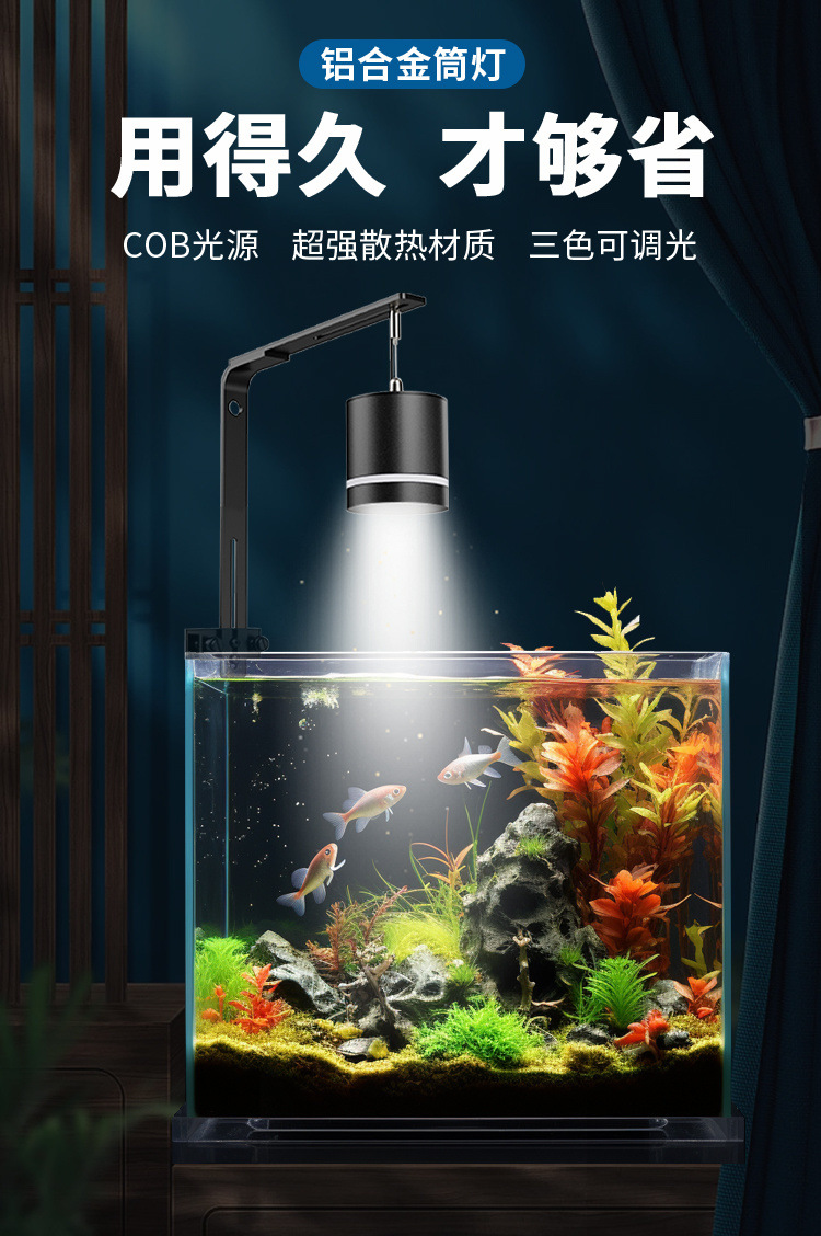 088c2cee-c8f6-4a3c-9ae7-db59965093ee.jpe