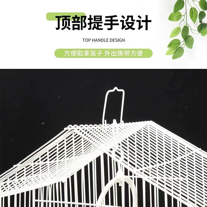 64c8f050-c832-43ee-ae8a-7b76992b998f.jpe