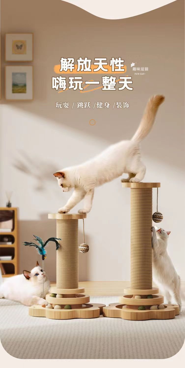 8538f9c7-311b-4e1b-a9b9-de8e234c0ec3.jpe