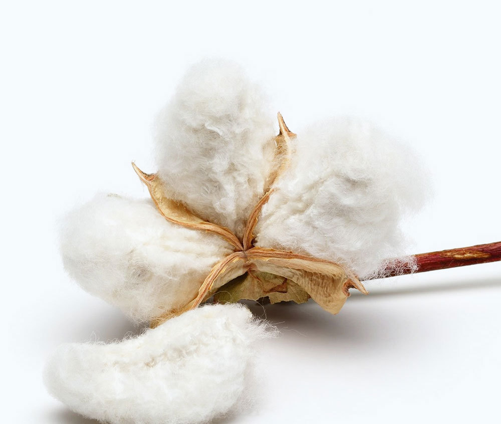 男童平角内裤 (8).jpg