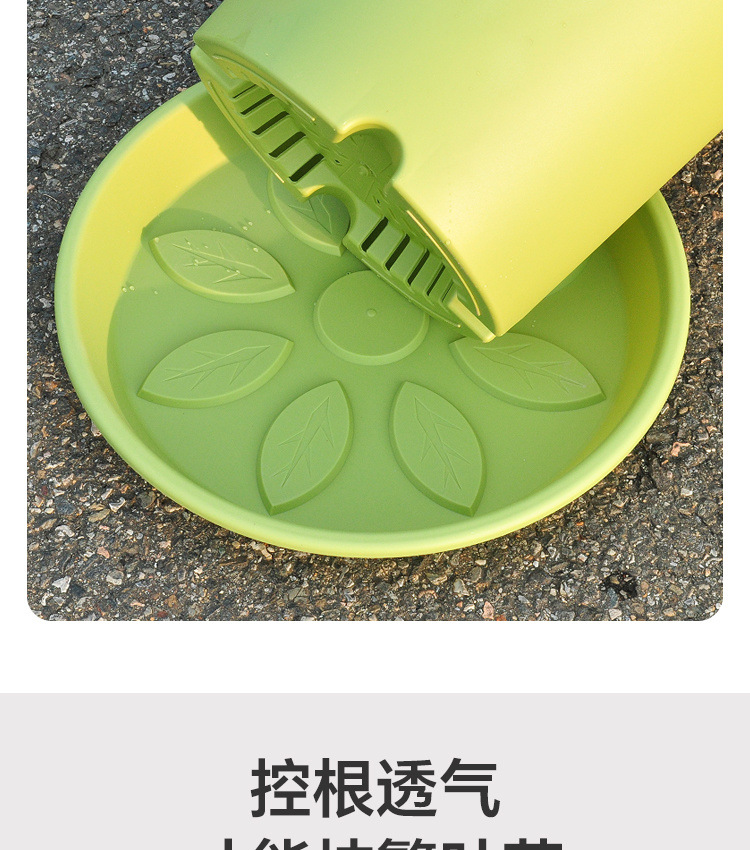 aa7c132a-dd18-4d92-b8ea-99e3715aa205.jpe