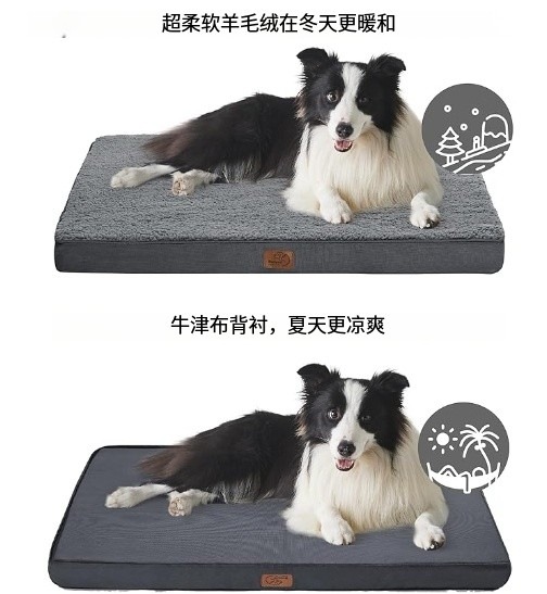 微信截图_20250304091623