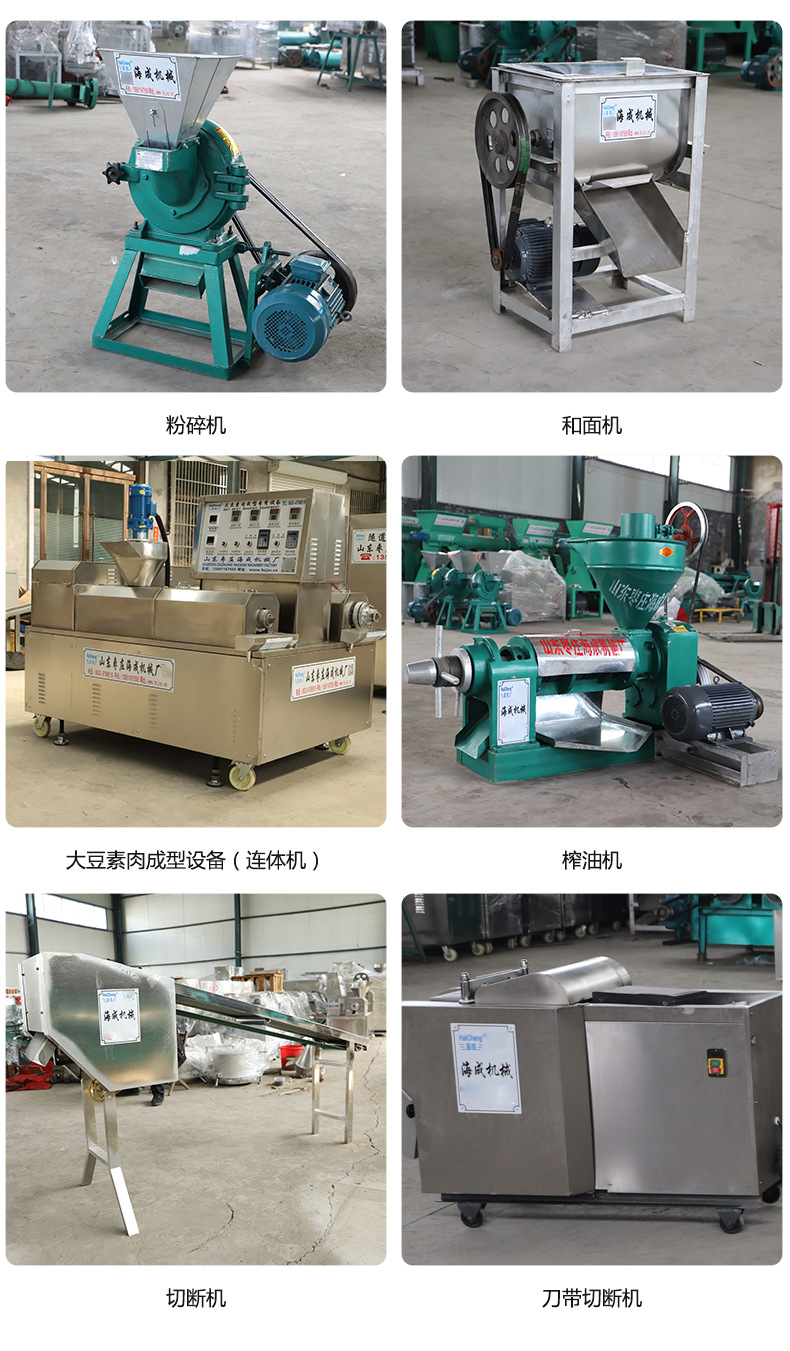 大豆素肉成型设备-1_12.jpg