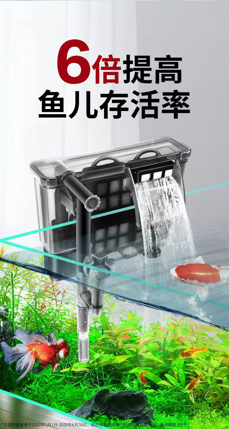 55fb0fe8-1bd3-493e-962a-3315782bfc3e.jpe