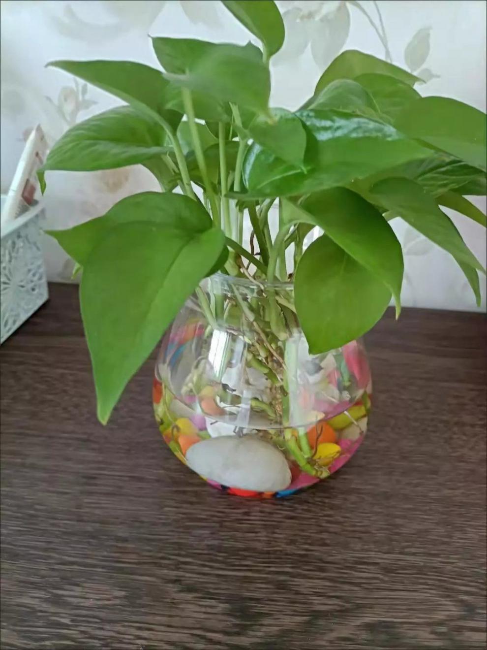 33783aca-53f1-4e31-9e4c-a84596cc64fa.jpe