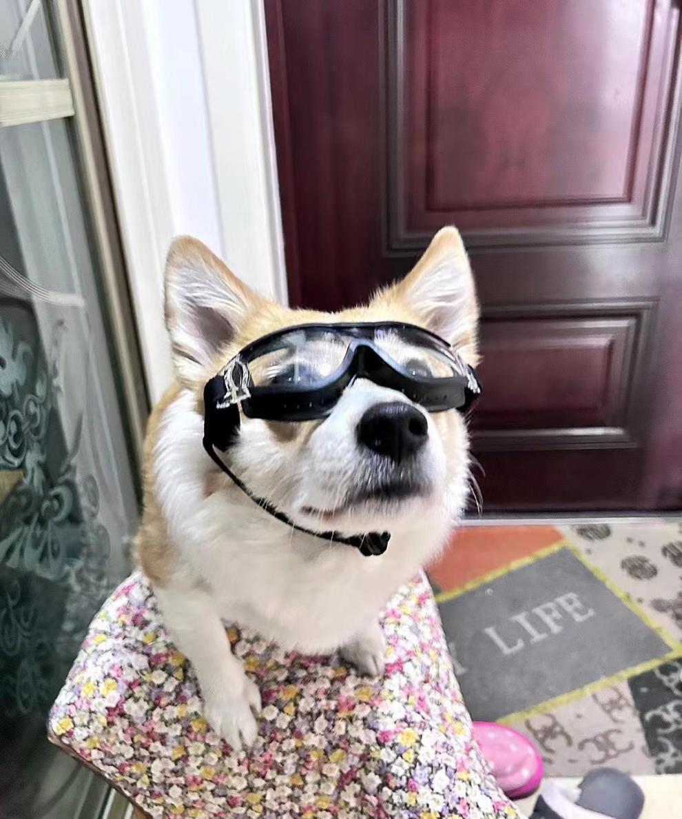 c22ca8fd-1ffa-49d1-b666-e6600a05a9f6.jpe