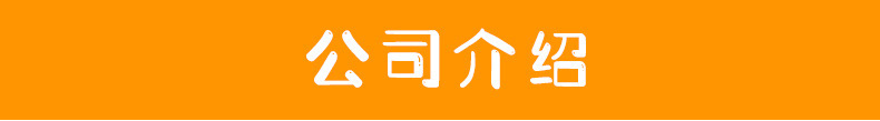 公司介绍
