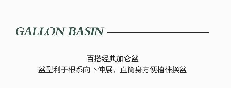 d2cc036d-a2d8-43cc-aa4b-85f29c10eda7.jpe