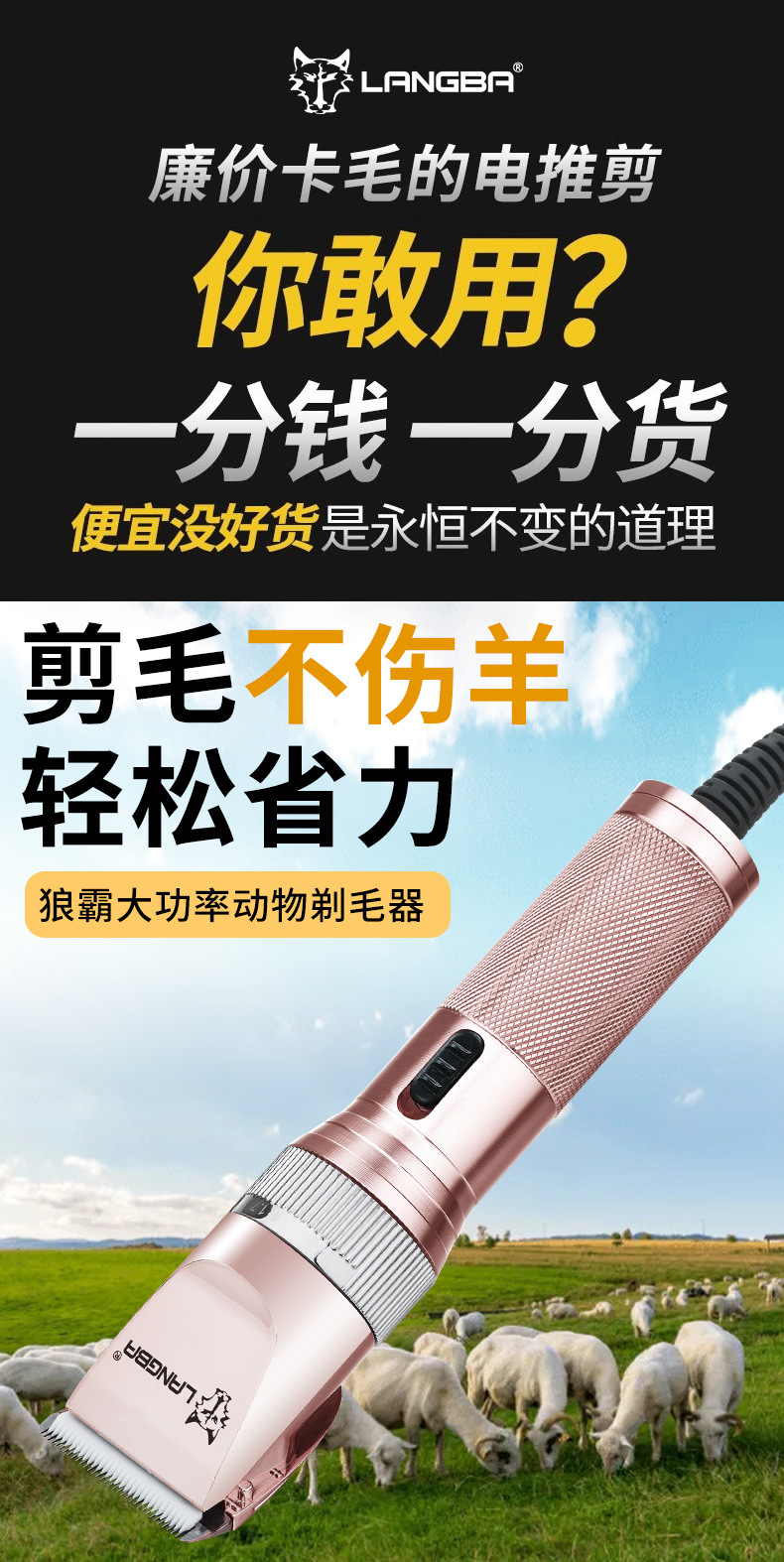 狼霸T84首次_01.jpg