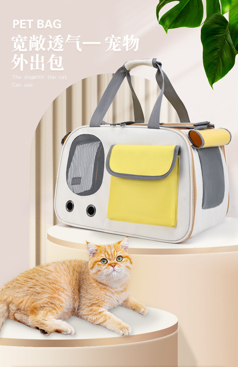 4dc3deea-7d6d-4f1f-b944-a58a1bed9db0.jpe