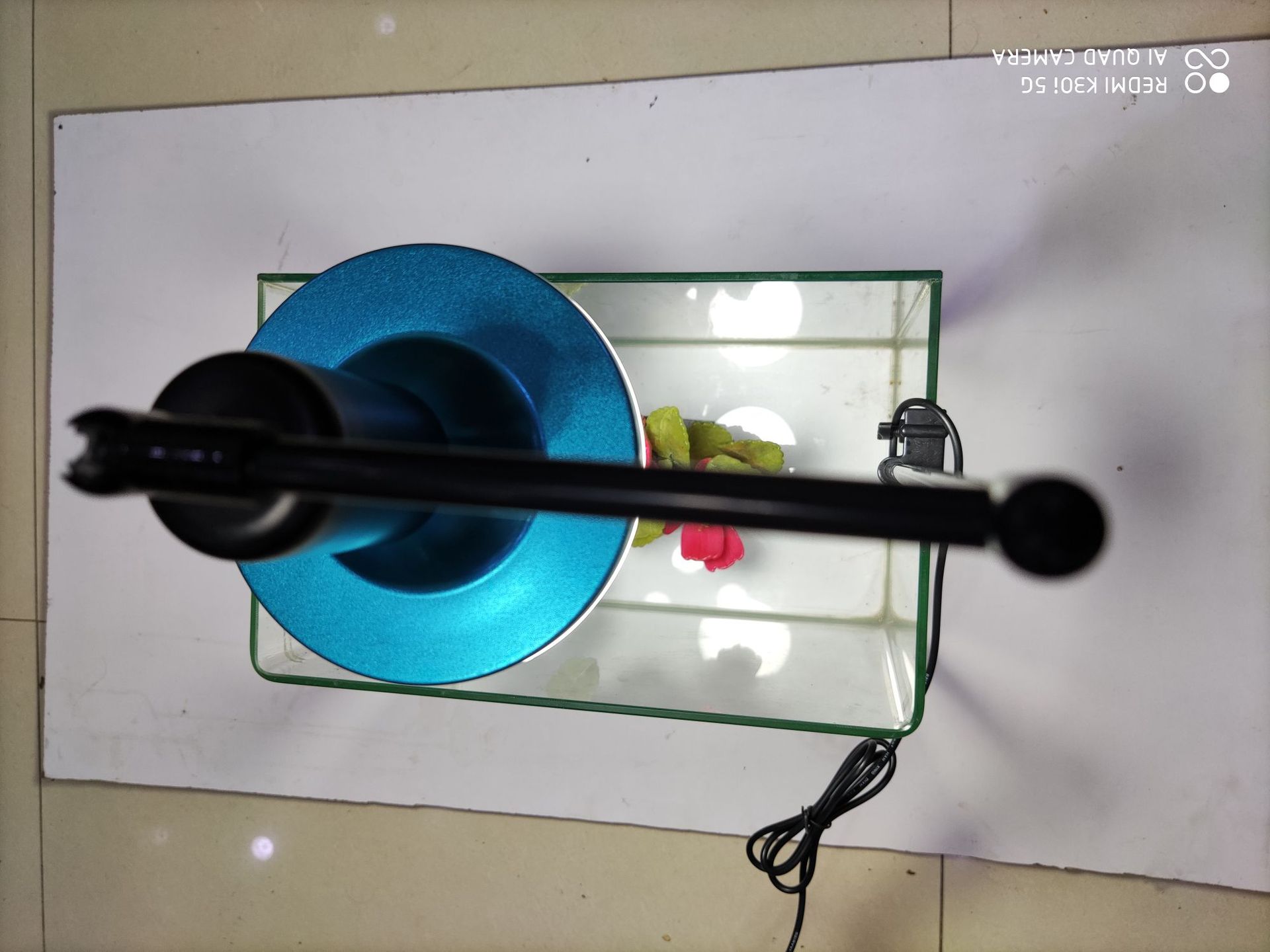 微信图片_20210302182348