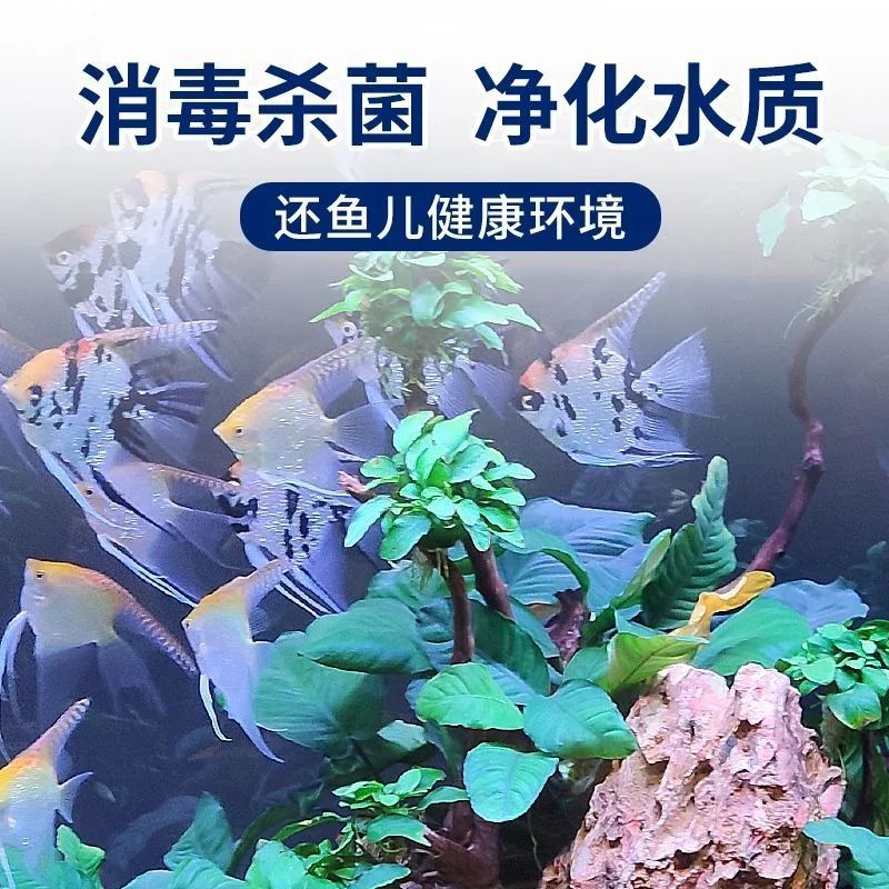 0da47007-b9da-4f5c-8a8a-bd358299488e.jpe